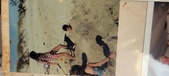 Enlarge photo 179