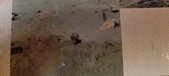 Enlarge photo 185