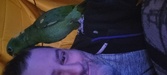Enlarge photo 202