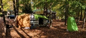 Enlarge photo 212