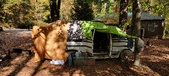 Enlarge photo 214