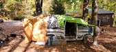 Enlarge photo 215