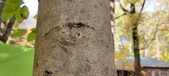 Enlarge photo 224
