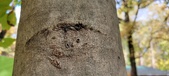 Enlarge photo 228