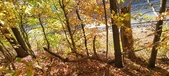 Enlarge photo 341