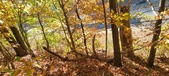 Enlarge photo 348