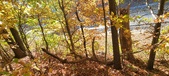 Enlarge photo 347