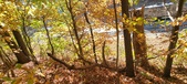 Enlarge photo 346