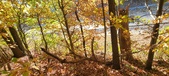 Enlarge photo 345
