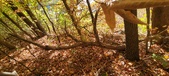 Enlarge photo 352