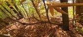 Enlarge photo 351