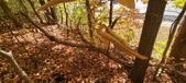 Enlarge photo 350