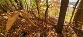 Enlarge photo 349