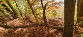 Enlarge photo 356
