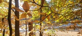 Enlarge photo 354