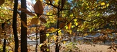 Enlarge photo 360