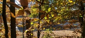 Enlarge photo 359