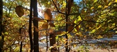 Enlarge photo 358