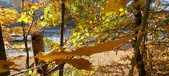Enlarge photo 363