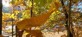 Enlarge photo 362