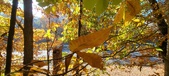 Enlarge photo 367