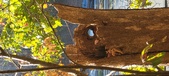 Enlarge photo 371