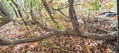 Enlarge photo 368
