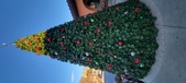 Enlarge photo 61