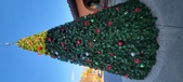 Enlarge photo 62