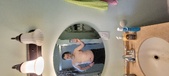 Enlarge photo 291