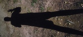 Enlarge photo 256