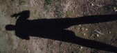 Enlarge photo 255