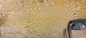 Enlarge photo 320