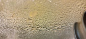 Enlarge photo 319