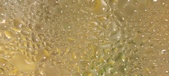 Enlarge photo 316