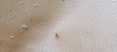 Enlarge photo 309