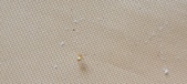 Enlarge photo 307