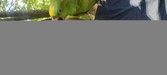 Enlarge photo 296