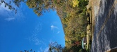Enlarge photo 1216