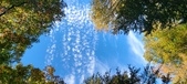 Enlarge photo 1253