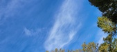 Enlarge photo 1280