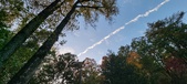 Enlarge photo 499