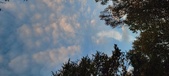 Enlarge photo 722
