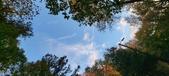Enlarge photo 724