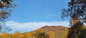 Enlarge photo 601