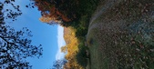 Enlarge photo 620
