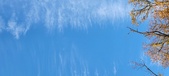 Enlarge photo 1086
