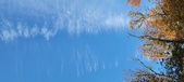 Enlarge photo 1085