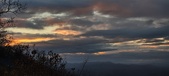 Enlarge photo 134