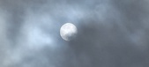 Enlarge photo 238
